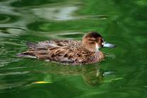 电子游戏app下载安装