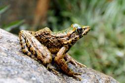 电子游戏app下载安装