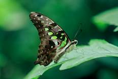 电子游戏app下载安装