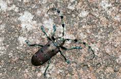 电子游戏app下载安装