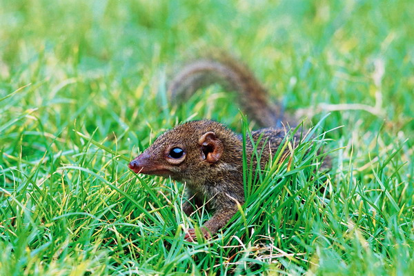 电子游戏app下载安装