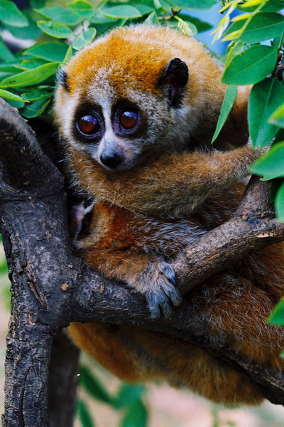 电子游戏app下载安装