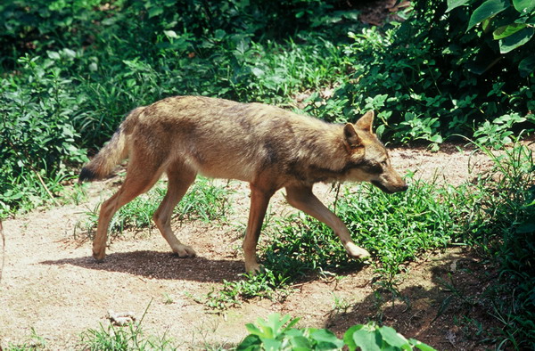电子游戏app下载安装