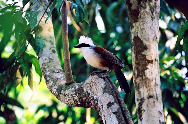 电子游戏app下载安装