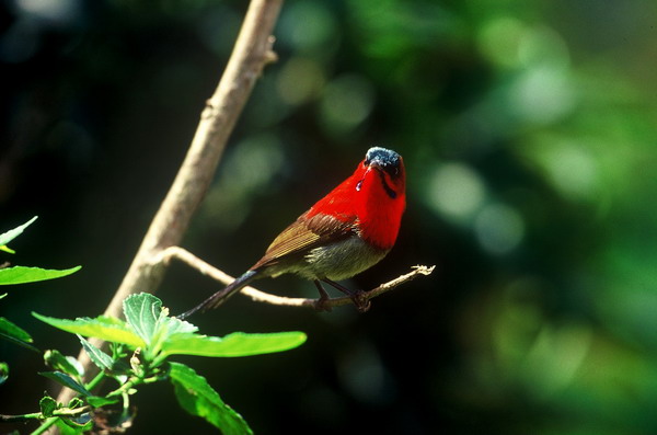 电子游戏app下载安装