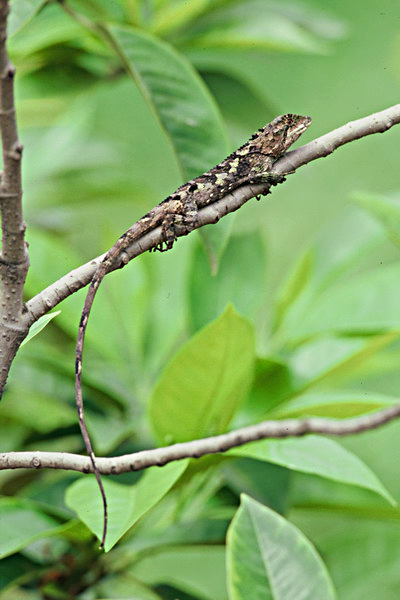 电子游戏app下载安装