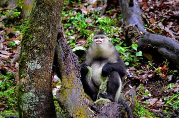 电子游戏app下载安装