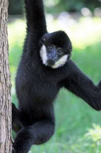 电子游戏app下载安装