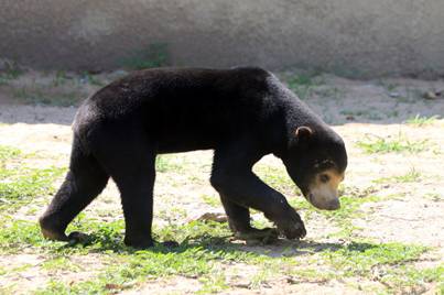 电子游戏app下载安装