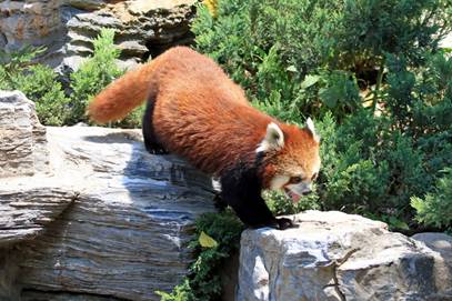 电子游戏app下载安装