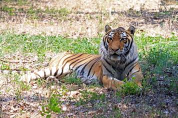 电子游戏app下载安装