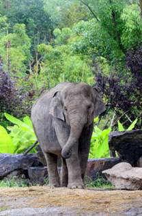 电子游戏app下载安装