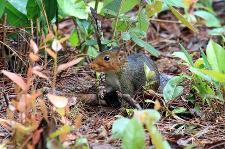 电子游戏app下载安装