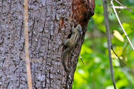 电子游戏app下载安装