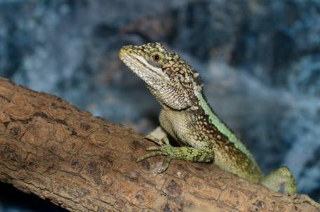 电子游戏app下载安装