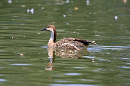 电子游戏app下载安装