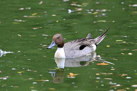 电子游戏app下载安装