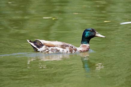 电子游戏app下载安装