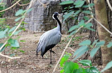 电子游戏app下载安装