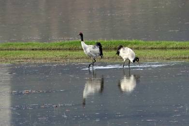 电子游戏app下载安装