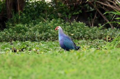 电子游戏app下载安装