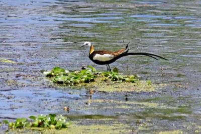 电子游戏app下载安装
