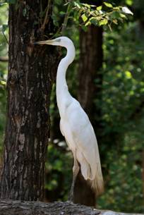 电子游戏app下载安装