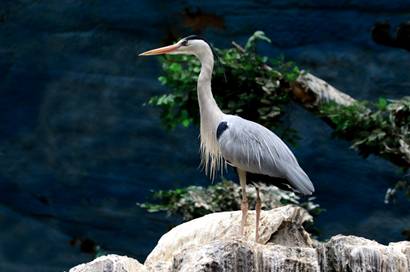 电子游戏app下载安装