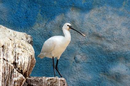 电子游戏app下载安装