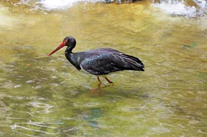 电子游戏app下载安装