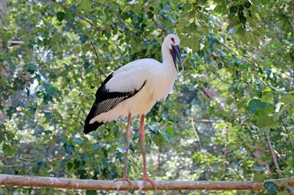 电子游戏app下载安装