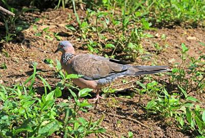 电子游戏app下载安装