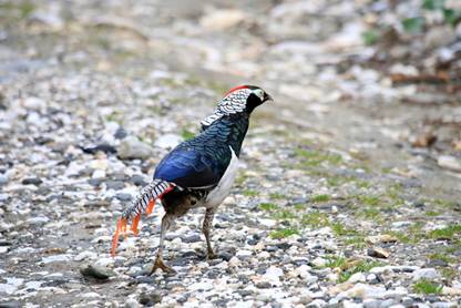 电子游戏app下载安装