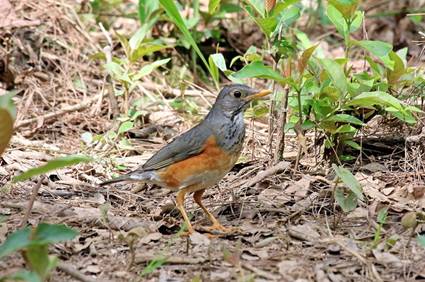 电子游戏app下载安装