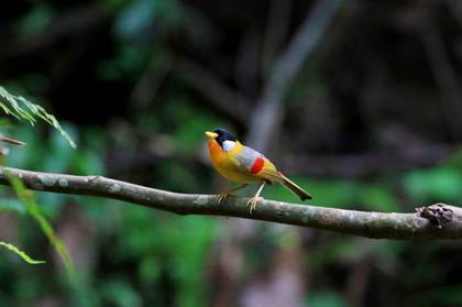 电子游戏app下载安装