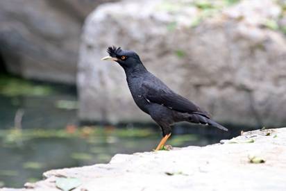 电子游戏app下载安装