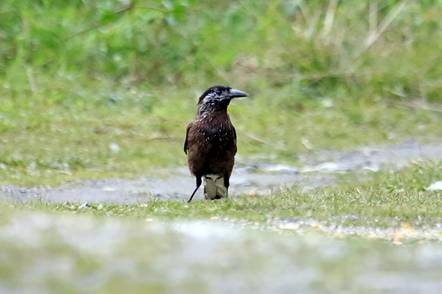 电子游戏app下载安装