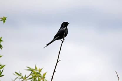 电子游戏app下载安装