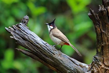 电子游戏app下载安装