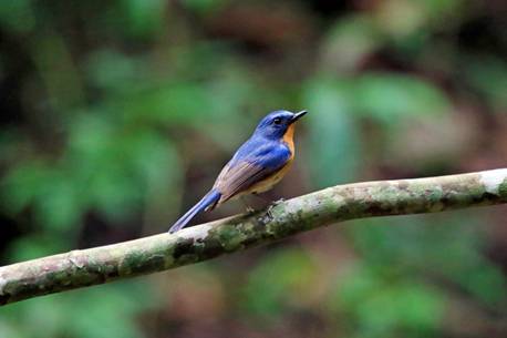 电子游戏app下载安装