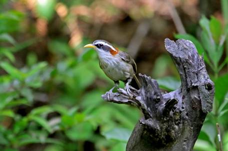 电子游戏app下载安装