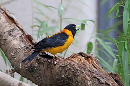 电子游戏app下载安装