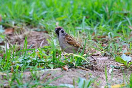 电子游戏app下载安装