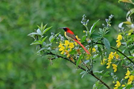 电子游戏app下载安装