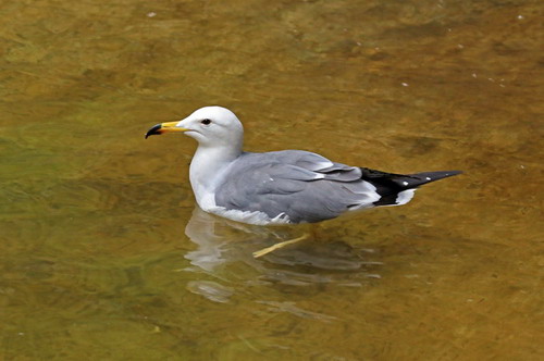 电子游戏app下载安装
