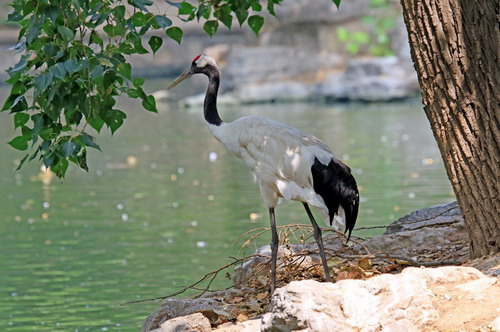 电子游戏app下载安装