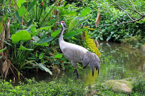 电子游戏app下载安装