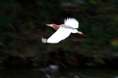 电子游戏app下载安装