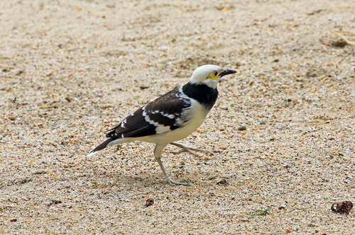 电子游戏app下载安装