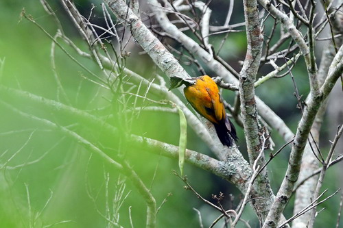 电子游戏app下载安装